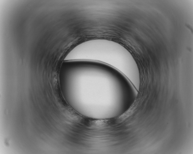 X0000095900184200801110813