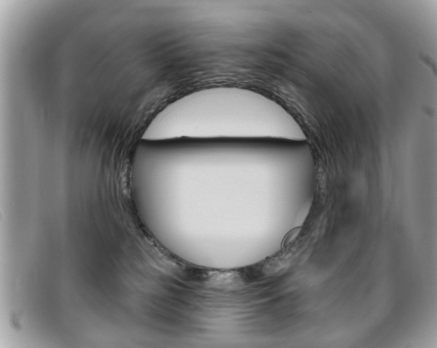 X0000095900185200801110813