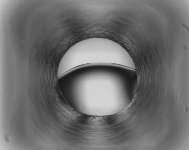 X0000095900186200801110813