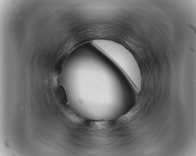 X0000095900188200801110813