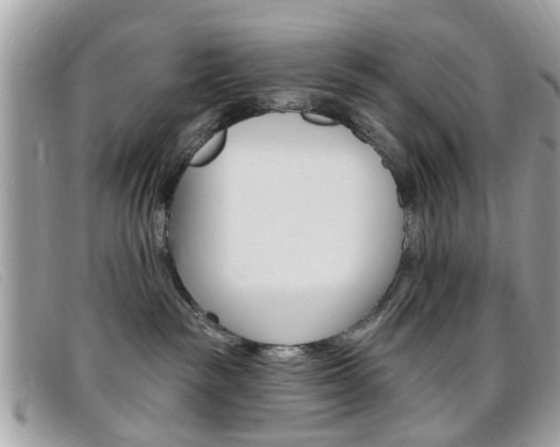 X0000095900189200801110813