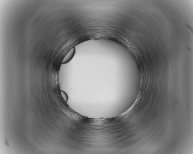 X0000095900191200801110813