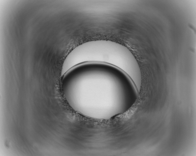 X0000095900192200801110813