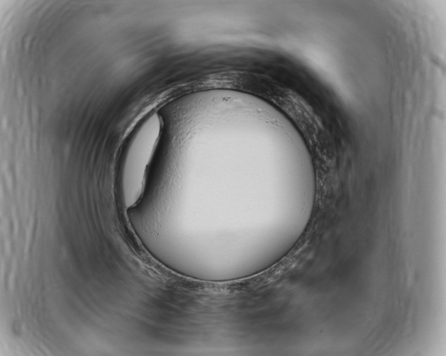 X0000095900194200801110812