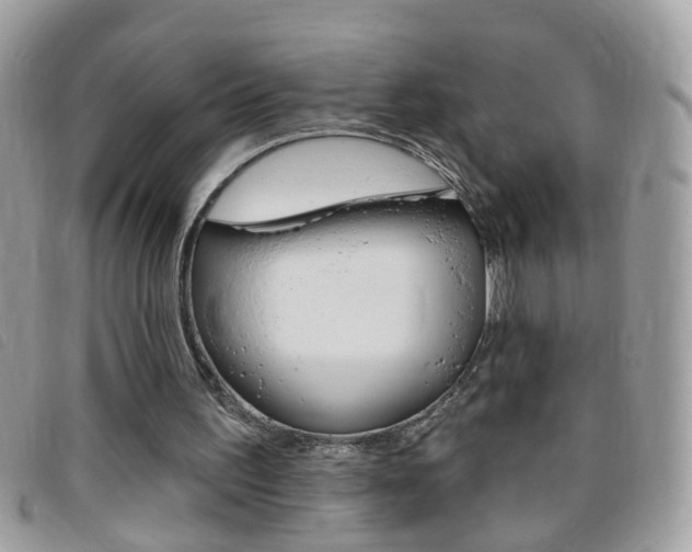 X0000095900195200801110812