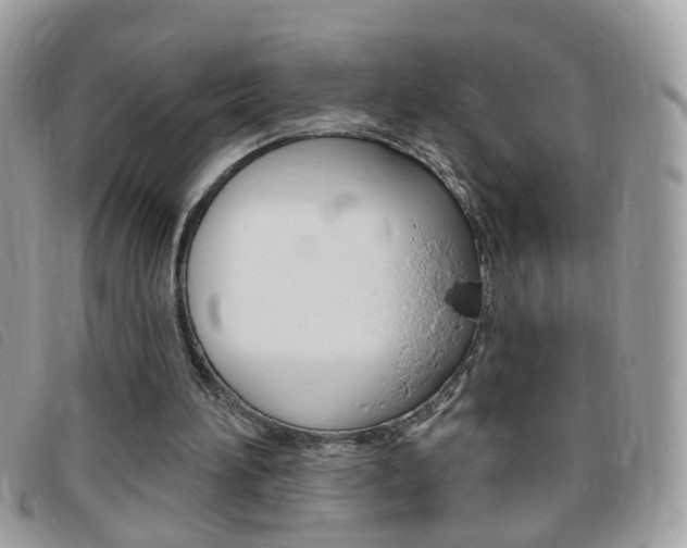 X0000095900196200801110812