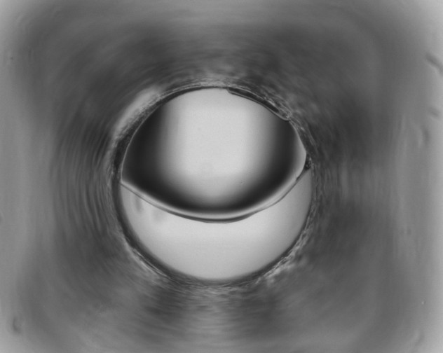 X0000095900197200801110812