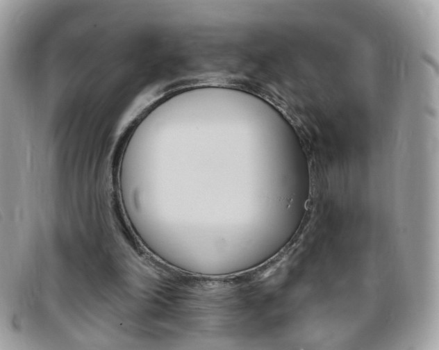 X0000095900198200801110812