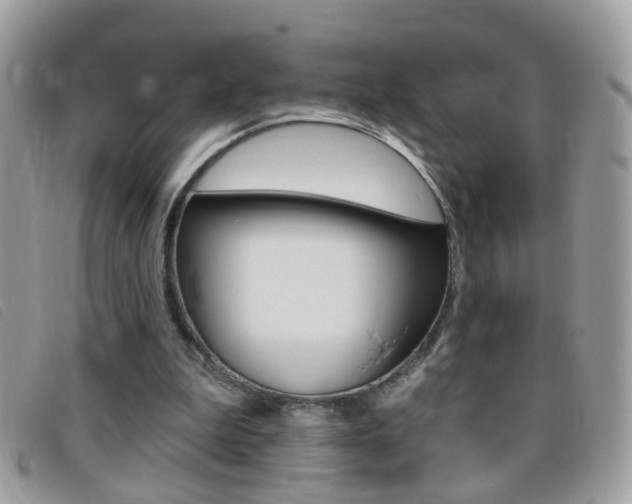 X0000095900199200801110812