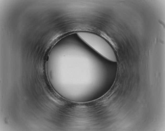 X0000095900203200801110812