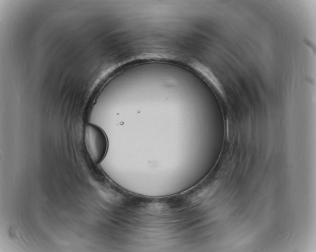 X0000095900204200801110812