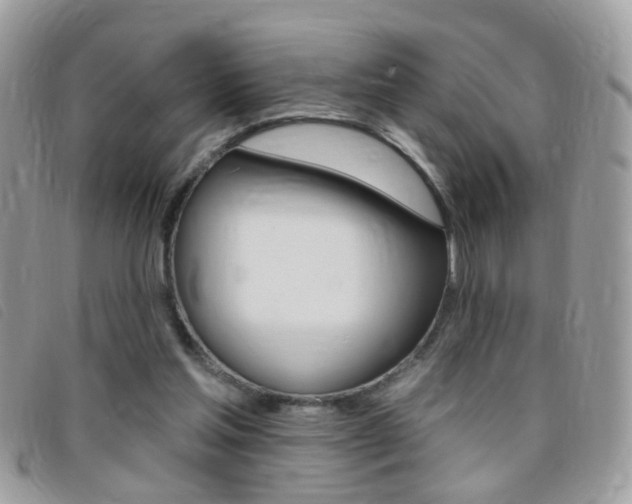 X0000095900205200801110812