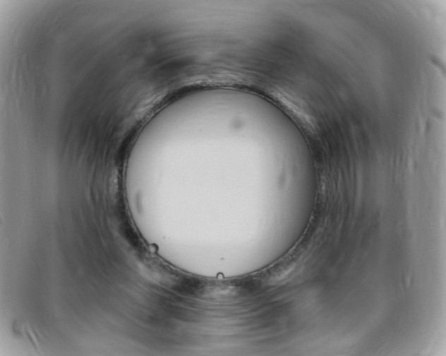 X0000095900206200801110812