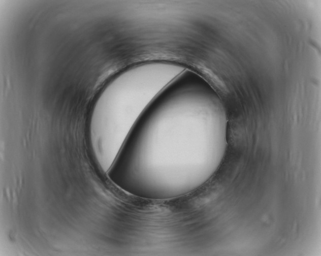 X0000095900207200801110812