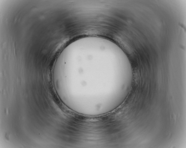 X0000095900208200801110812