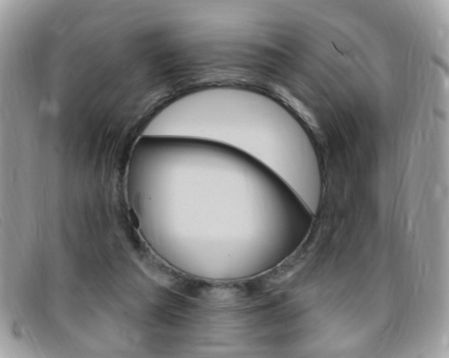 X0000095900209200801110812