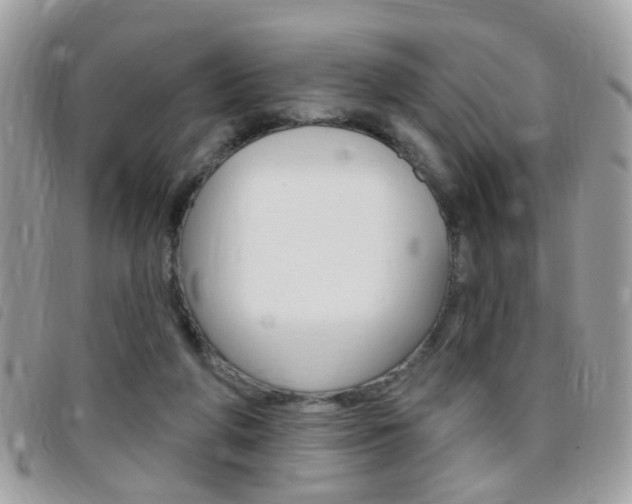 X0000095900210200801110812