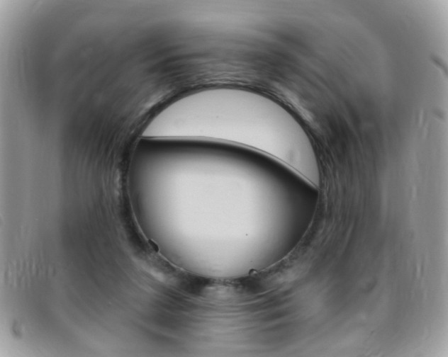 X0000095900211200801110812