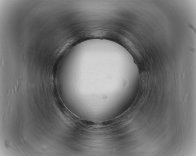 X0000095900212200801110812