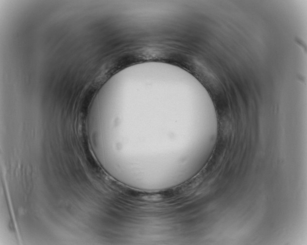 X0000095900214200801110812