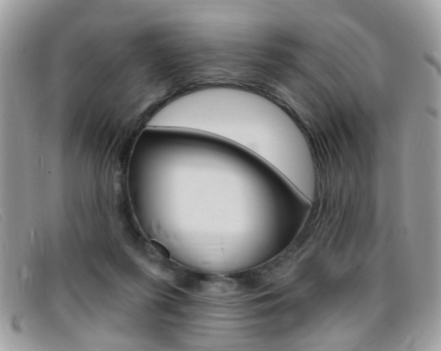 X0000095900215200801110812
