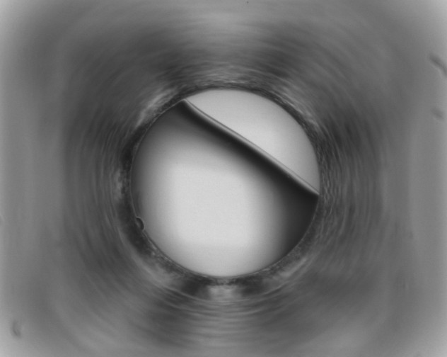 X0000095900216200801110812