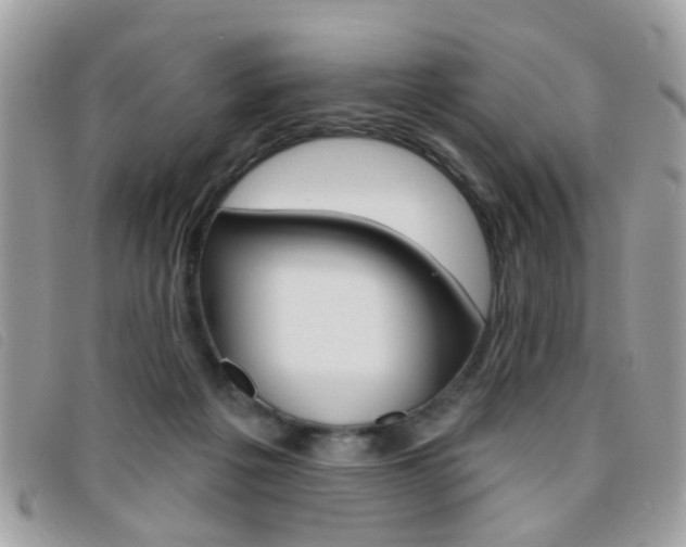 X0000095900217200801110812