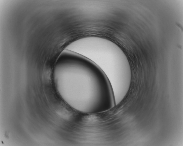 X0000095900219200801110812