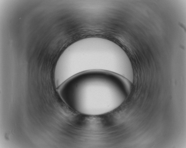 X0000095900221200801110812