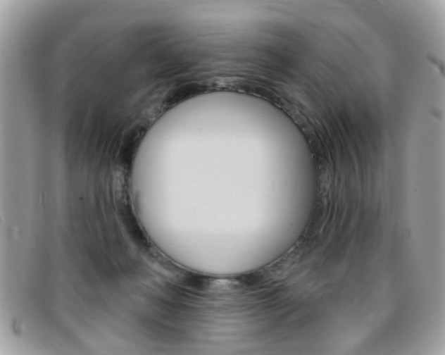 X0000095900222200801110812