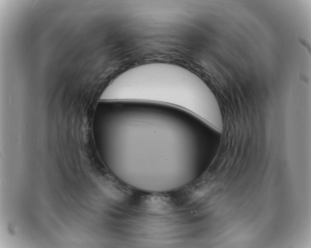 X0000095900223200801110812