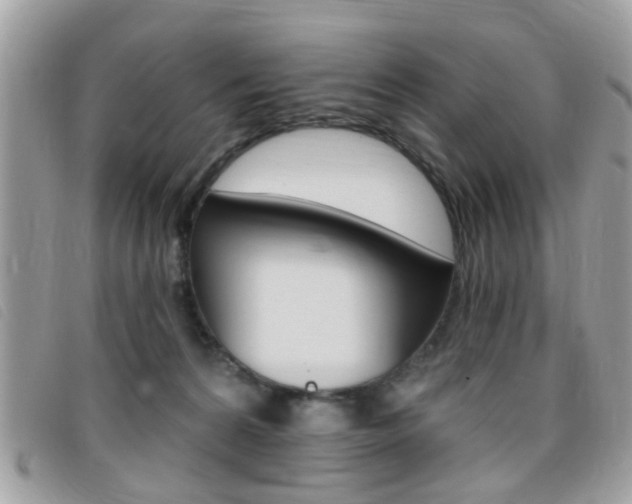 X0000095900224200801110812