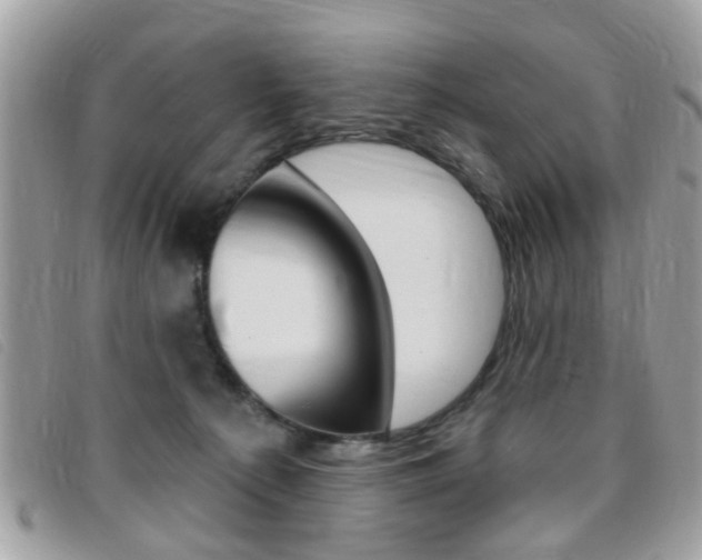 X0000095900225200801110812
