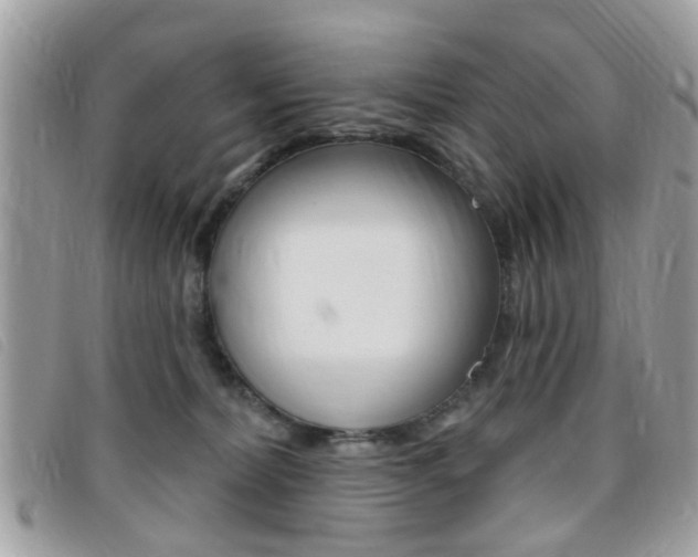 X0000095900228200801110812