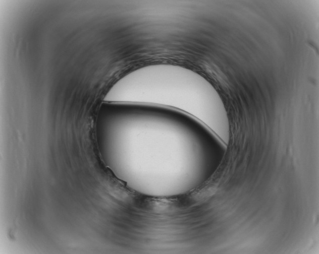 X0000095900229200801110812