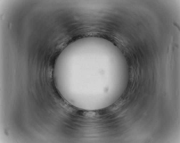 X0000095900230200801110812