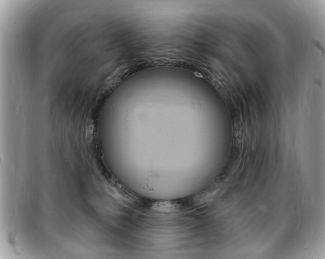 X0000095900231200801110812
