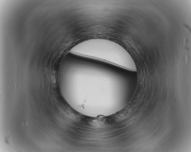 X0000095900232200801110812
