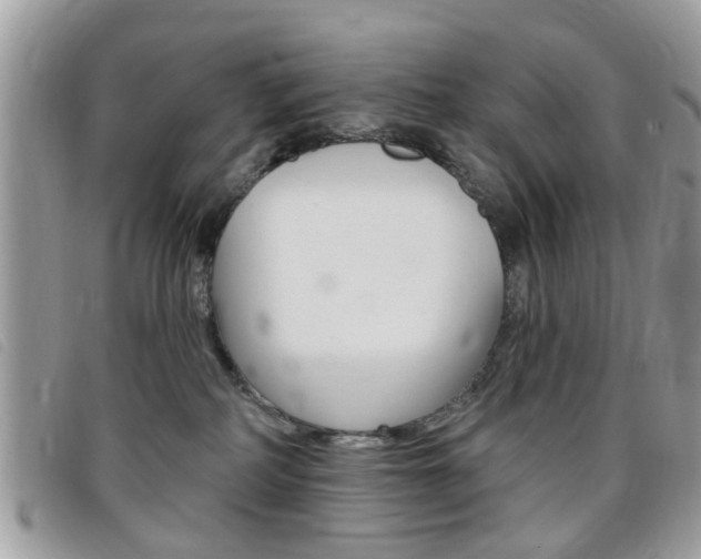 X0000095900234200801110812