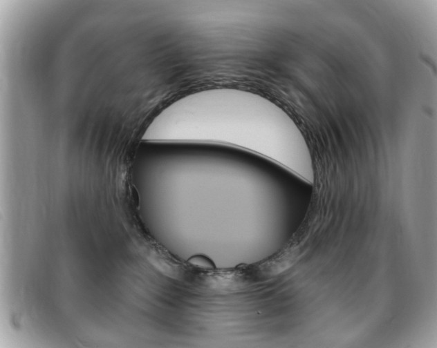 X0000095900235200801110812