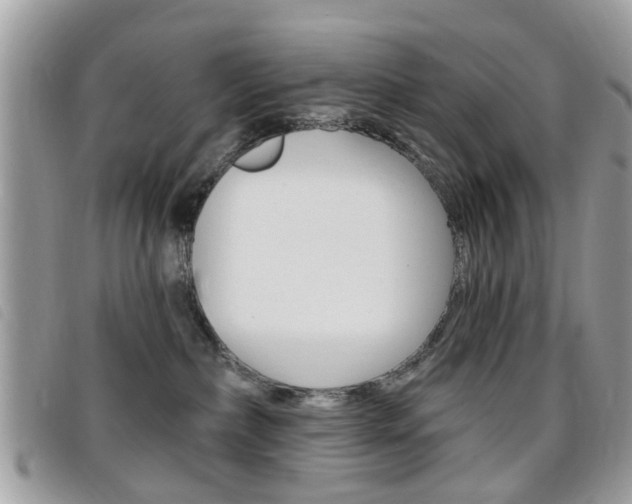 X0000095900236200801110812