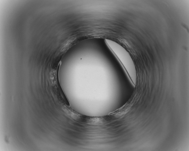 X0000095900237200801110812