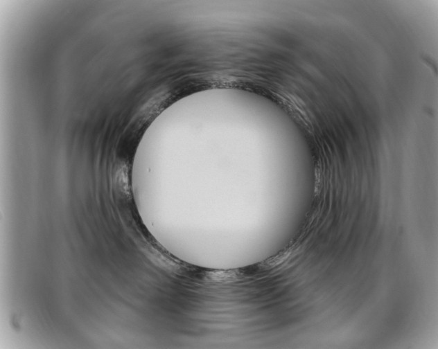 X0000095900238200801110812