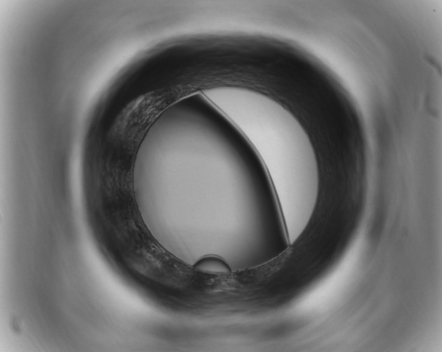 X0000095900239200801110812