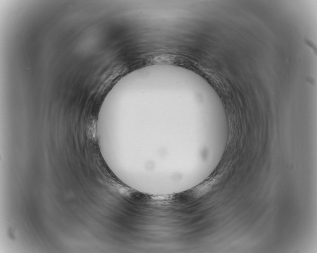 X0000095900240200801110812