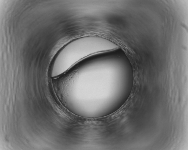 X0000095900242200801110811