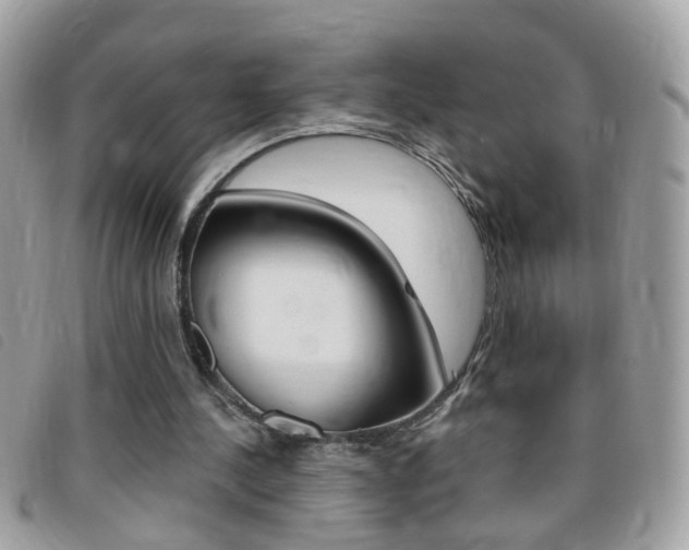 X0000095900244200801110811