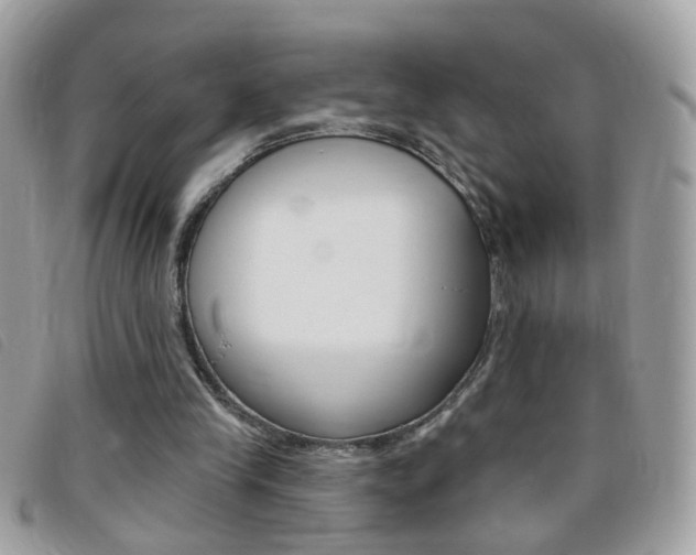 X0000095900245200801110811
