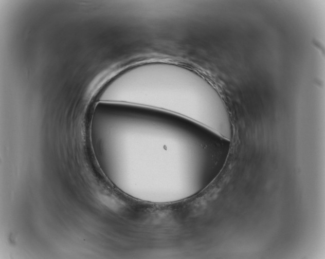 X0000095900247200801110811