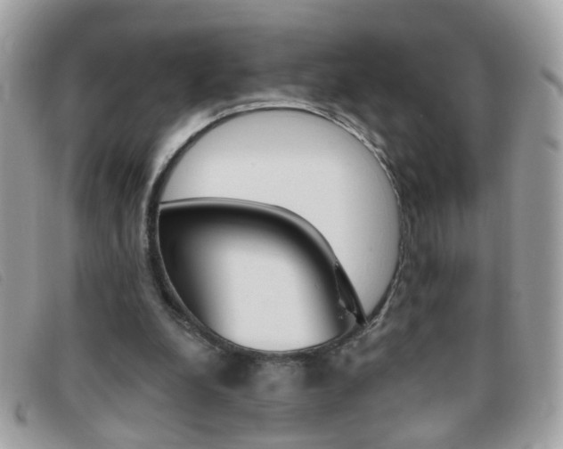X0000095900248200801110811